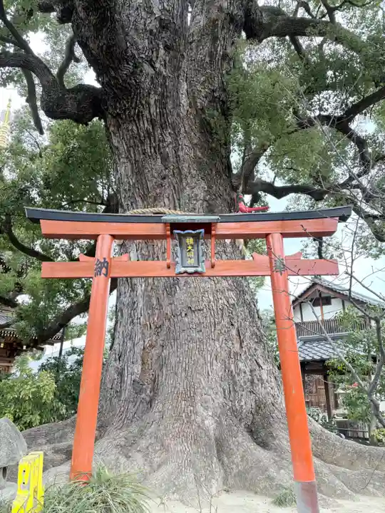 法楽寺(大阪府)