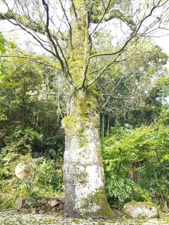 荒倉神社の自然