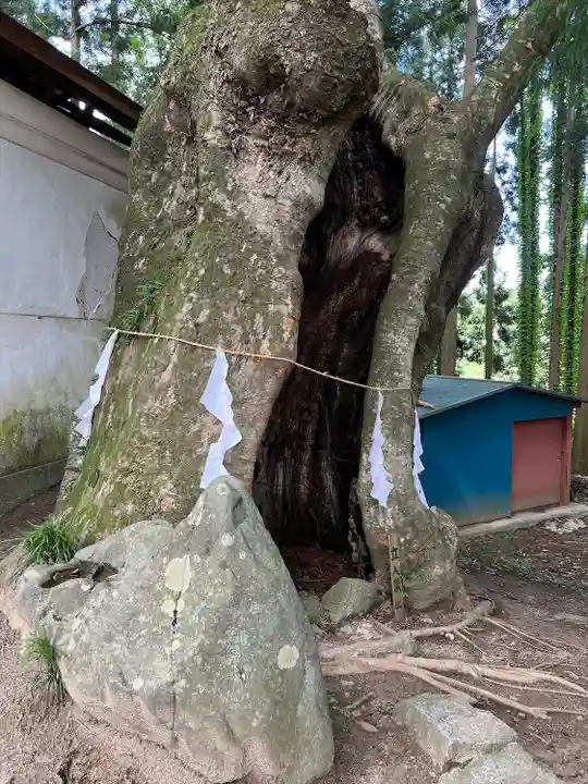 黒沼神社(福島県)