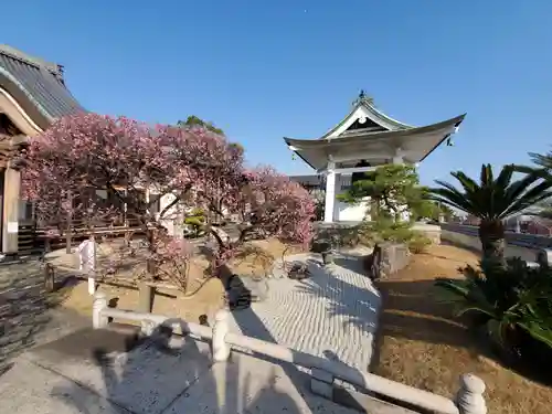 月照寺の庭園