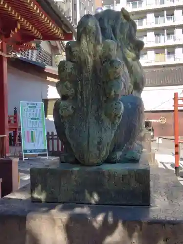 浅草神社の狛犬