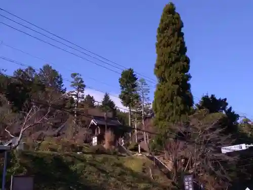 興徳寺の建物その他