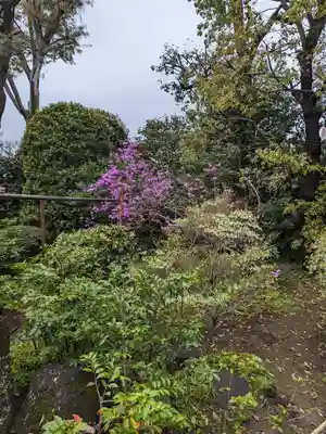 東長谷寺　薬王院(東京都)
