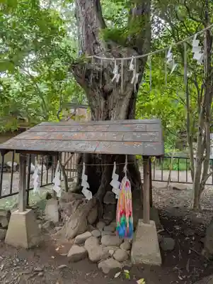 日吉神社(福島県)