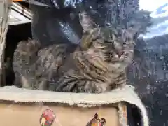 王子神社の動物