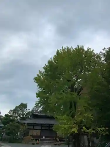 東本願寺岡崎別院(京都府)