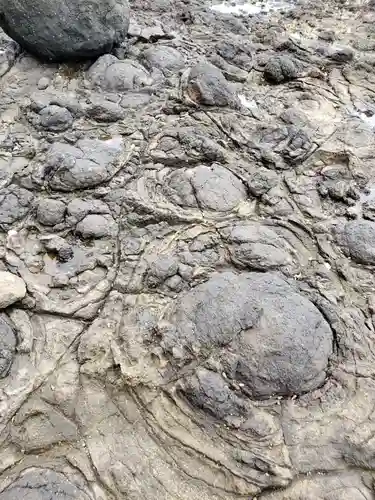 小島神社(長崎県)