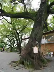 北岡神社の自然