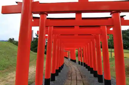 高屋敷稲荷神社の鳥居