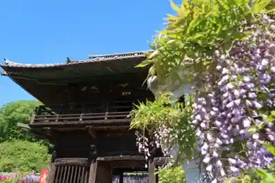 長泉寺の山門・神門