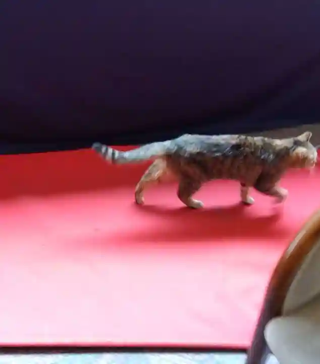 榛名神社(群馬県)