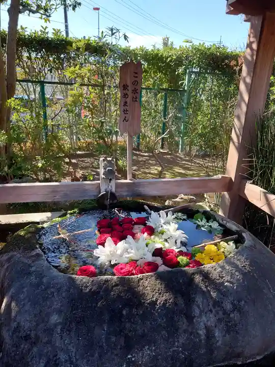 天然寺(埼玉県)