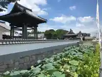 雲龍山 本證寺(愛知県)