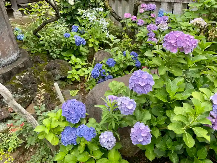 白山神社の庭園