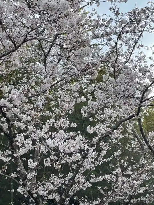 安楽寺(愛知県)