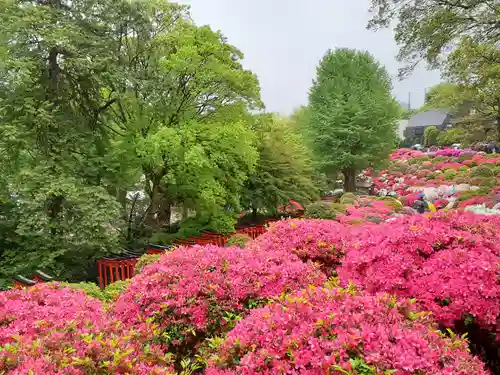 根津神社の庭園