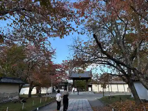 醍醐寺(京都府)
