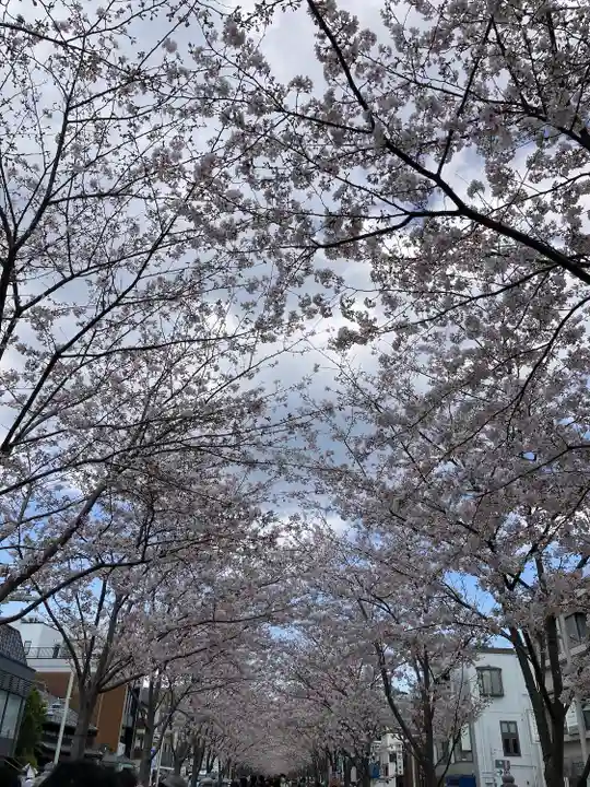 鶴岡八幡宮の景色