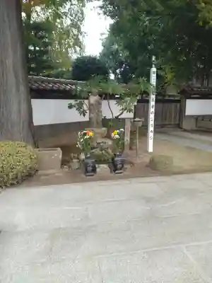 医王寺(福島県)