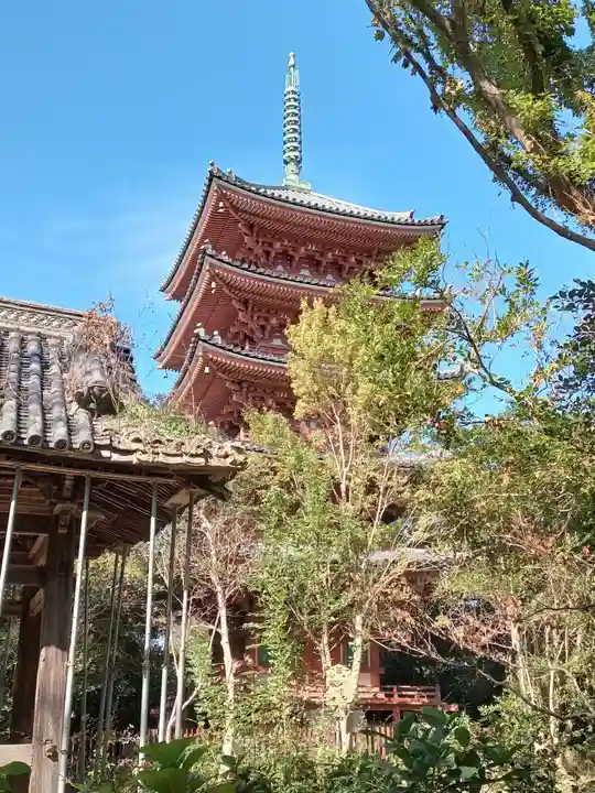 志度寺(香川県)