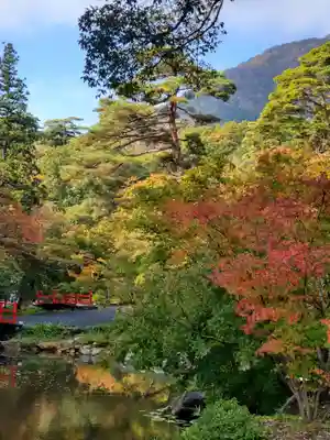 彌彦神社(新潟県)
