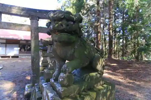 沢井八幡神社の狛犬