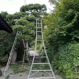 豊景神社(福島県)(2024年09月20日(金) 12時18分39秒投稿)