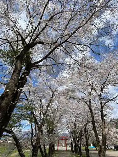 笹八木社(子檀嶺神社境内社)の自然