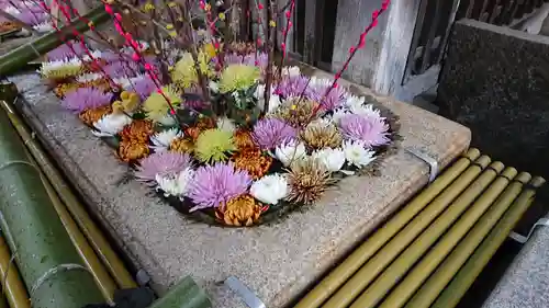 北野天満宮(京都府)