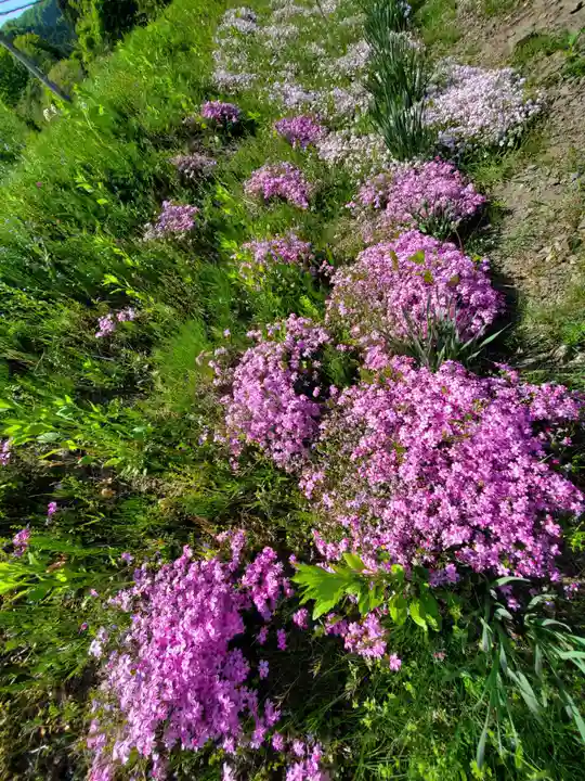 高司神社〜むすびの神の鎮まる社〜(福島県)