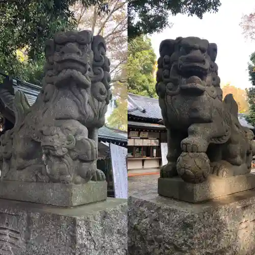 南沢氷川神社の狛犬