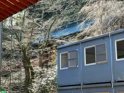 静岡浅間神社(静岡県)