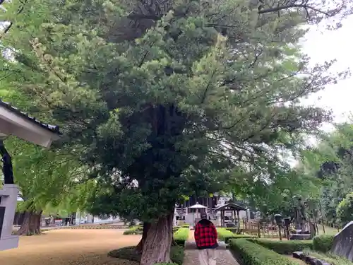 星谷寺のその他建物