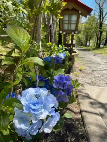 釧路一之宮 厳島神社の自然