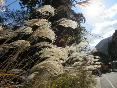 室生龍穴神社の自然