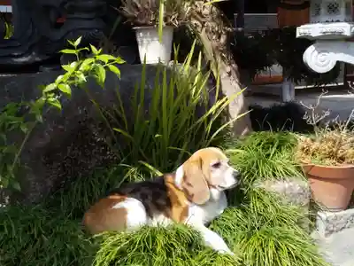 大念寺(大阪府)