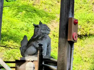 温泉神社〜いわき湯本温泉〜の狛犬