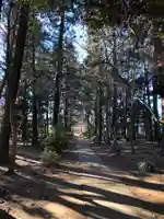 國王神社の自然