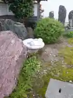 竜徳寺のその他建物