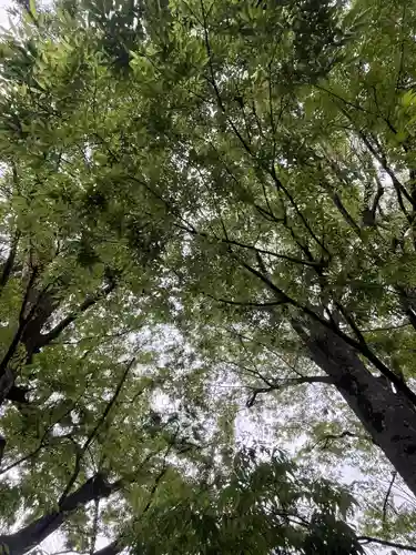 前川神社(埼玉県)