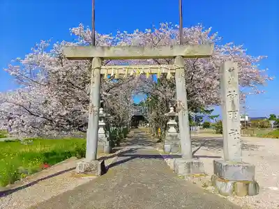 五之三神明社の鳥居