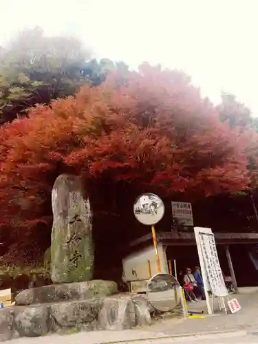 千如寺大悲王院の自然