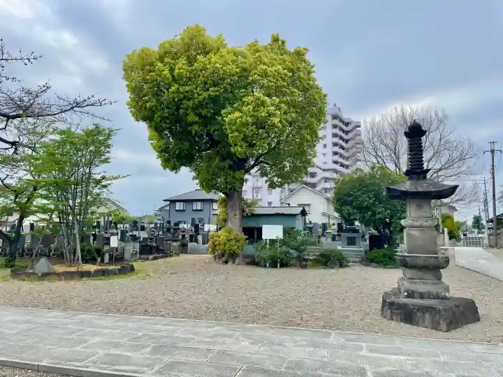 養報寺の{uncategorized: "未分類", other: "その他", undefined: "問題あり", building: "その他建物", grave: "お墓", sacred_gate: "鳥居", guardian: "狛犬", statue: "像", buddha: "仏像", history: "歴史", nature: "自然", garden: "庭園", animal: "動物", pagoda: "塔", temizu: "手水舎", mountain_gate: "山門・神門", sanctuary: "本殿・本堂", subordinate: "末社・摂社", art: "芸術", scenery: "景色", jizo: "地蔵", ema: "絵馬", goshuin: "御朱印", omikuji: "おみくじ", items: "授与品その他", amulet: "お守り", goshuincho: "御朱印帳", eats: "食事", festival: "お祭り", votive_dance: "神楽", shichigosan: "七五三参", wedding: "結婚式", experience: "体験その他", initially: "初詣", around: "周辺", anti_infection: "感染症対策"}
