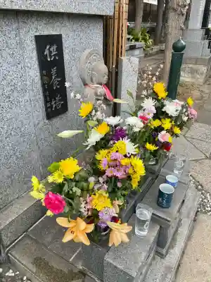 東覺寺の{uncategorized: "未分類", other: "その他", undefined: "問題あり", building: "その他建物", grave: "お墓", sacred_gate: "鳥居", guardian: "狛犬", statue: "像", buddha: "仏像", history: "歴史", nature: "自然", garden: "庭園", animal: "動物", pagoda: "塔", temizu: "手水舎", mountain_gate: "山門・神門", sanctuary: "本殿・本堂", subordinate: "末社・摂社", art: "芸術", scenery: "景色", jizo: "地蔵", ema: "絵馬", goshuin: "御朱印", omikuji: "おみくじ", items: "授与品その他", amulet: "お守り", goshuincho: "御朱印帳", eats: "食事", festival: "お祭り", votive_dance: "神楽", shichigosan: "七五三参", wedding: "結婚式", experience: "体験その他", initially: "初詣", around: "周辺", anti_infection: "感染症対策"}