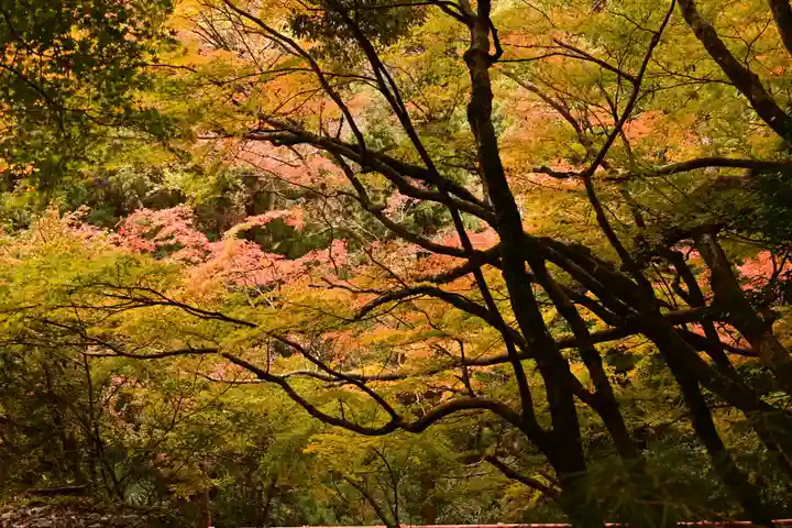 星谷寺(徳島県)