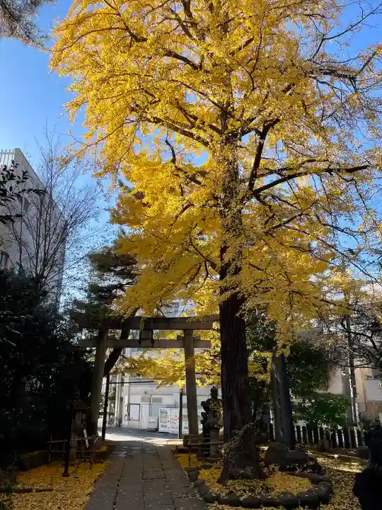 長崎神社(東京都)