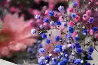 豊景神社の手水舎