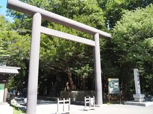 北海道神宮の鳥居