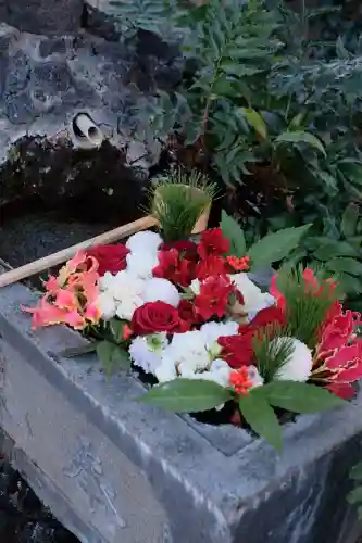 本郷氷川神社(東京都)