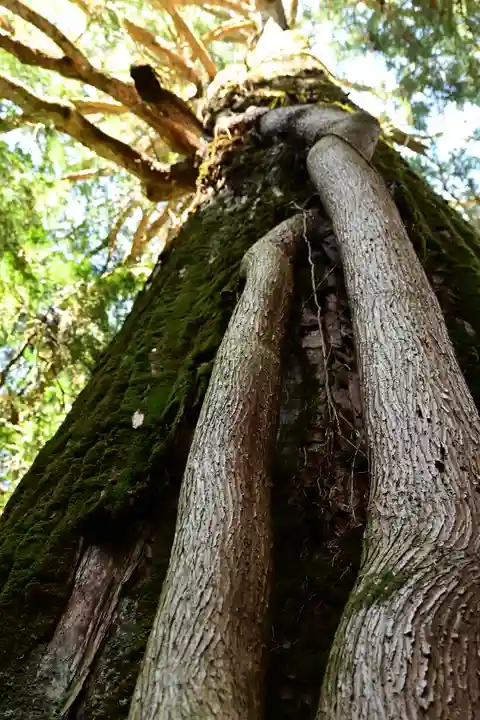 河内神社(高知県)